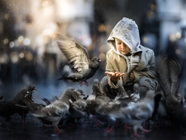Маленький ребенок кормит голубей 