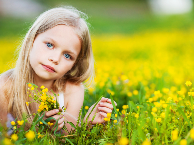 Красивая голубоглазая девочка лежит на желтых полевых цветах