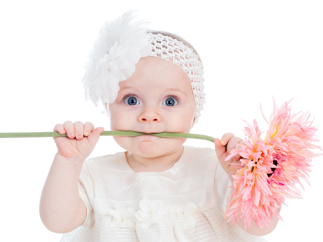 Маленькая голубоглазая девочка с розовым цветком герберы в руках