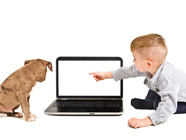 Маленький мальчик и щенок смотрят в экран ноутбука на белом фоне