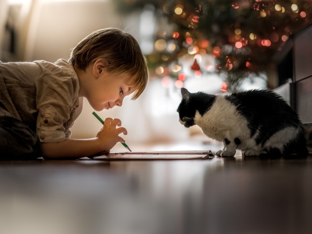 Маленький мальчик рисует с котом 