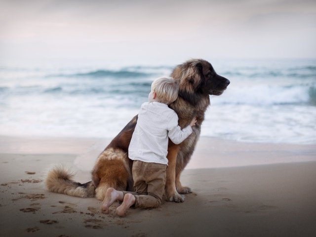 Маленький мальчик обнимает большую собаку на пляже