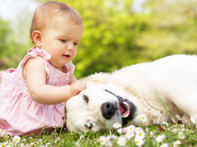 Маленькая милая девочка с большой белой собакой