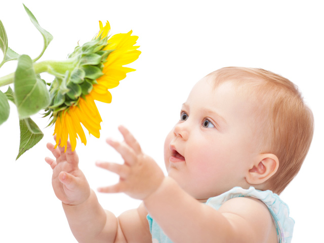 Маленькая милая девочка с подсолнухом на белом фоне