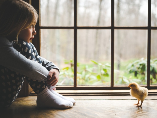 Маленькая девочка и цыпленок у окна 