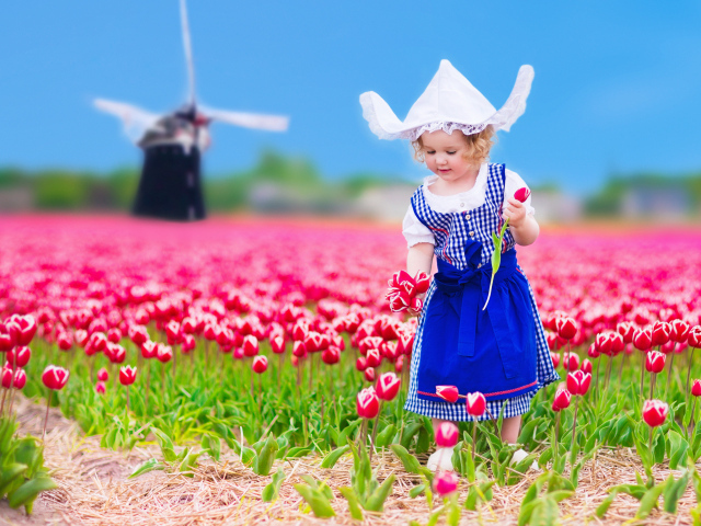Маленькая девочка в голубом платье на поле тюльпанов 