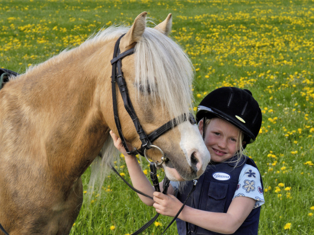 Маленькая девочка в шлеме с лошадью