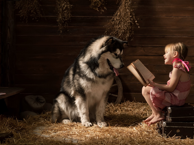 Маленькая девочка читает книгу собаке породы хаски