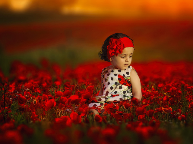 Маленькая девочка сидит в поле с красными маками