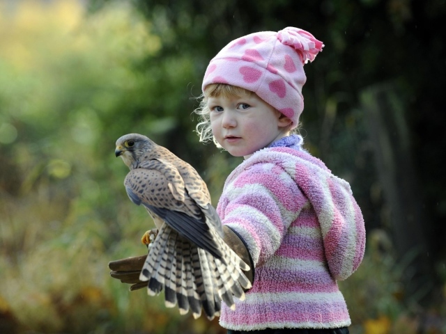 Маленькая девочка с птицей сокол на руке