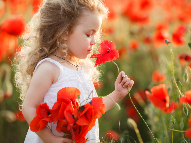 Маленькая девочка с букетом красных маков в руке