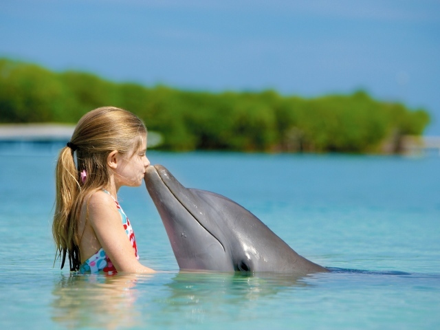 Маленькая девочка с дельфином в голубой воде