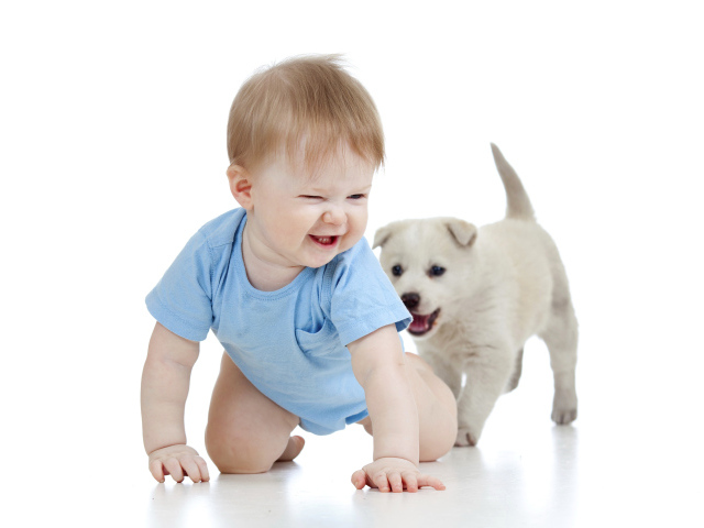 Маленький улыбающийся мальчик с щенком на белом фоне