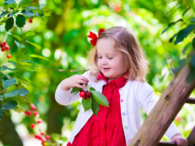 Маленькая улыбающаяся девочка рвет вишни с дерева