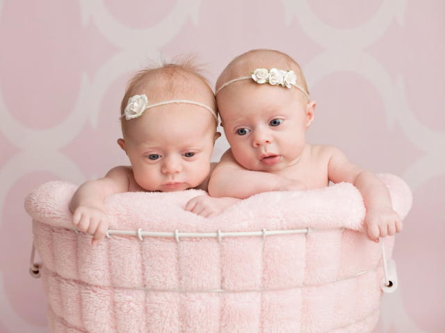 Два младенца близнеца девочки в корзине
