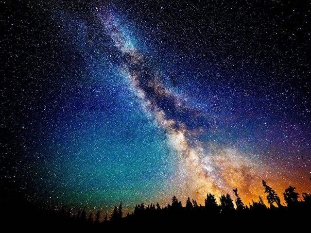 Млечный путь в звездном небе над лесом 