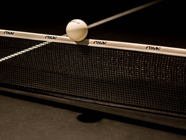 Мяч для настольного тенниса на сетке 