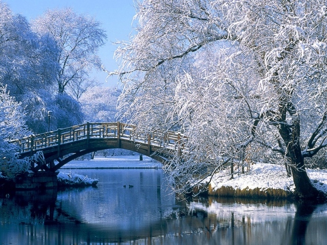 Зима в Германии