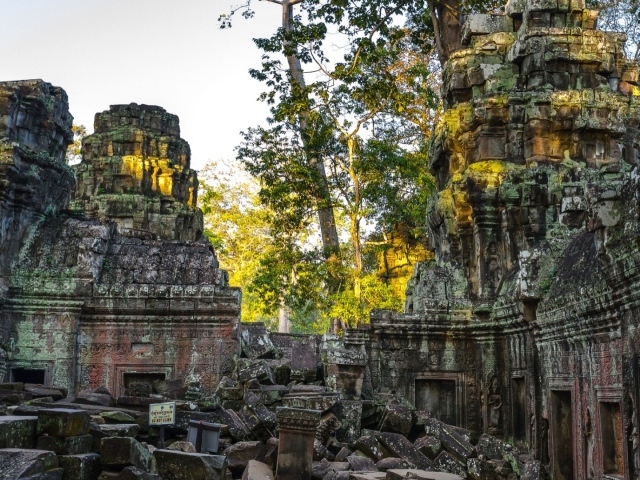 Развалины старинного храма Ангкор Ват 