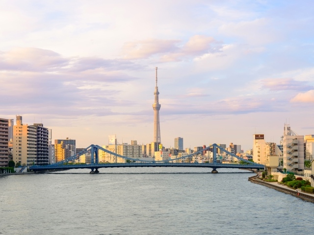 Панорама города Токио на фоне реки, Япония