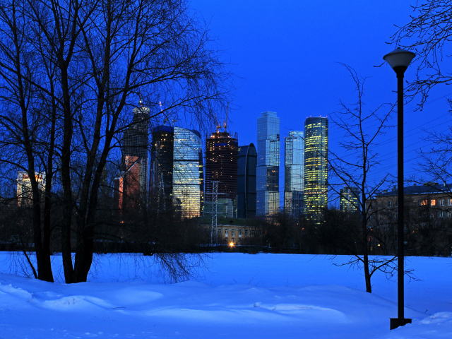 Вид на московские небоскребы из зимнего парка, Россия