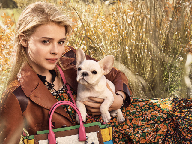 Красивая молодая актриса Хлоя Грейс Морец с собакой 