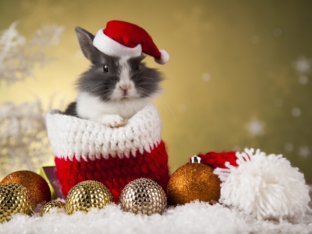 Кролик в новогодней шапке и елочными игрушками
