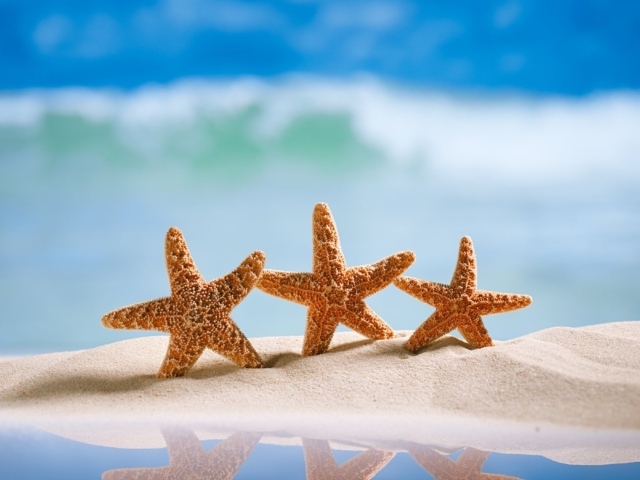 Три оранжевых морских звезды на желтом песке на море