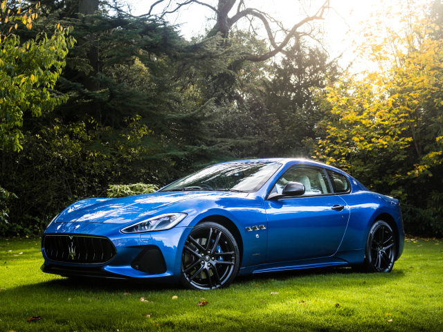 Синий автомобиль Maserati GranTurismo на фоне деревьев 
