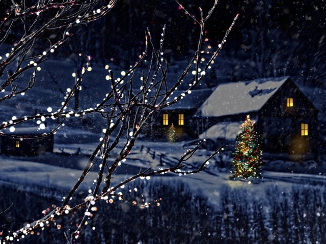 Красивые украшенные деревья на Рождество в деревне зимой