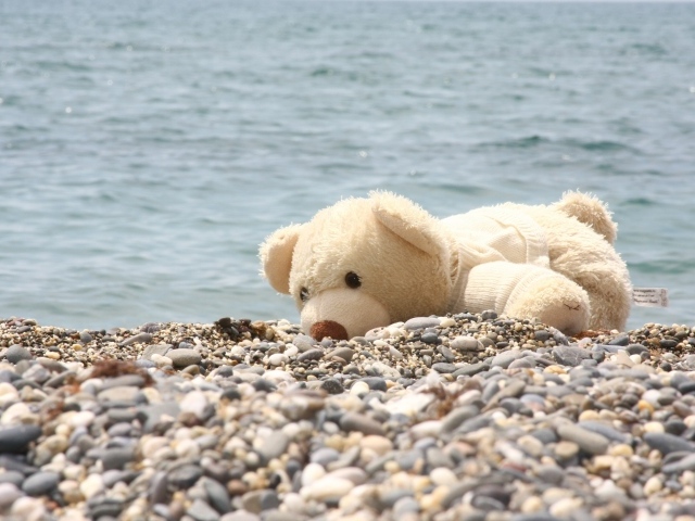 Белый плюшевый медведь лежит на гальке на берегу моря