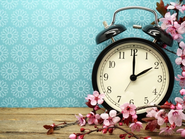 Черный будильник на голубом фоне с цветами абрикоса