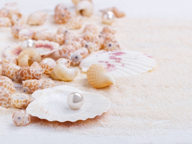 Ракушки с жемчужинами на белом песке 