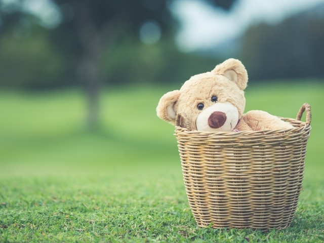 Плюшевый медведь в корзине на зеленой траве