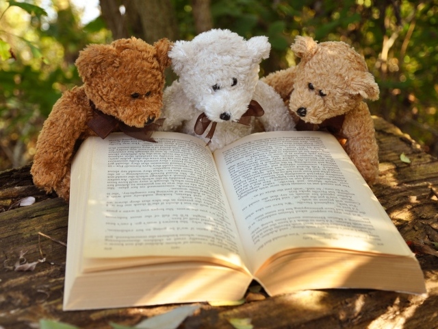 Три медвежонка Тедди читают книгу