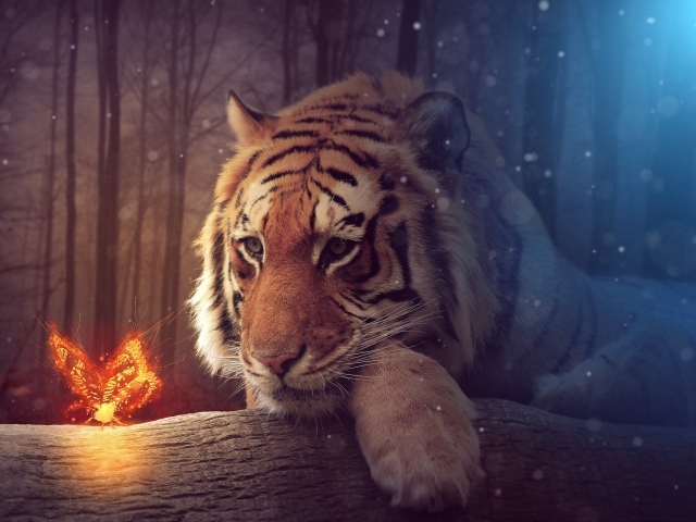 Большой тирг с волшебной огненной бабочкой, фэнтези