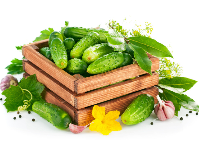 Зеленые свежие огурцы в деревянном ящике на белом фоне