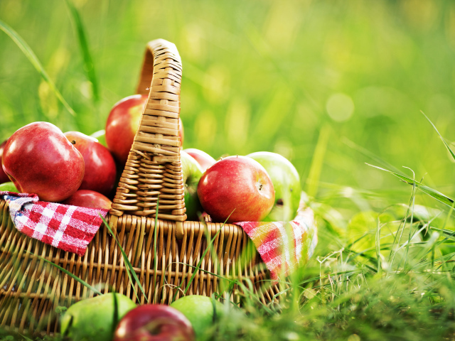 Корзина красных яблок стоит на зеленой траве