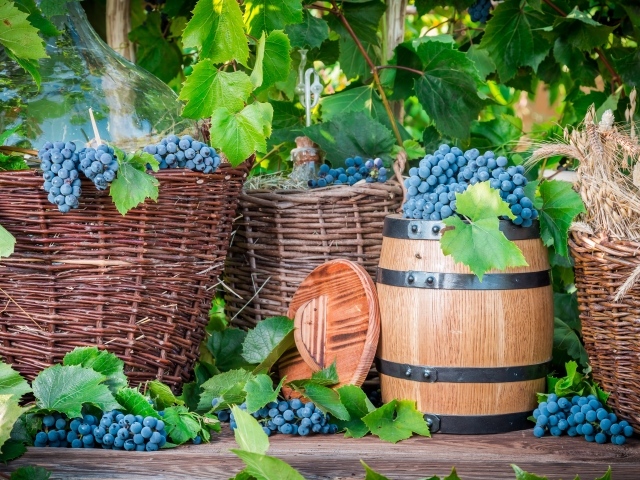 Корзины с синим виноградом и бочкой для вина