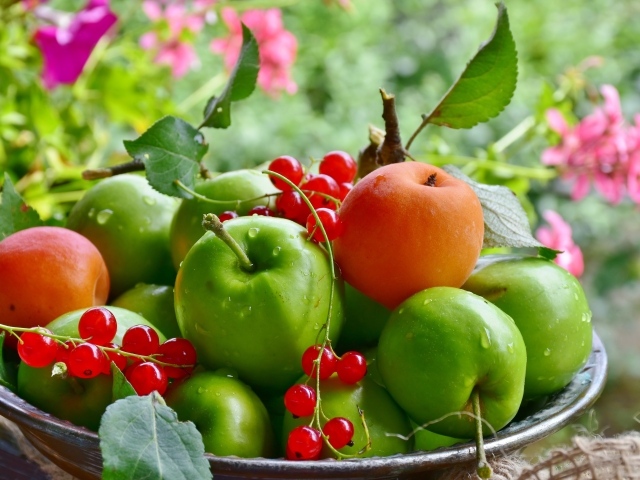 Красивые зеленые яблоки с красной смородиной и абрикосами