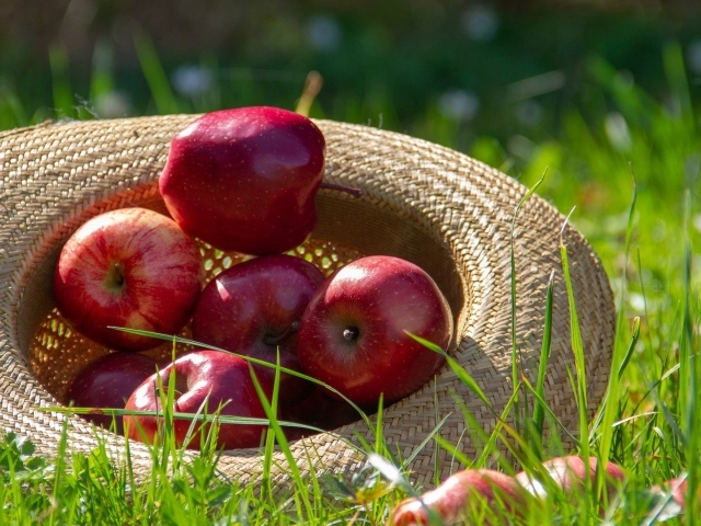 Красивые красные яблоки в соломенной шляпе на зеленой траве