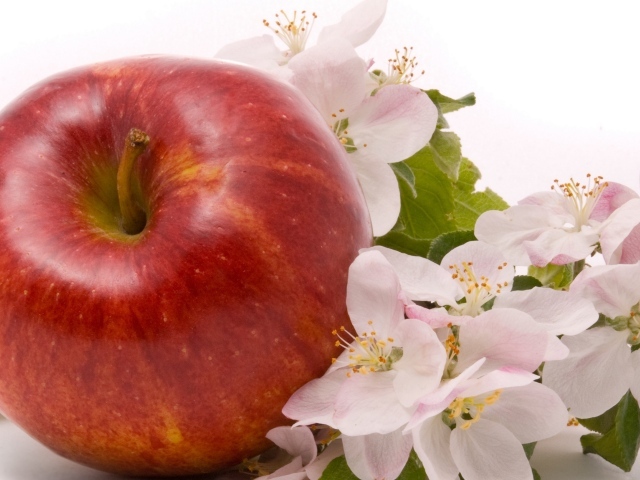 Большое красное яблоко с цветами на белом фоне