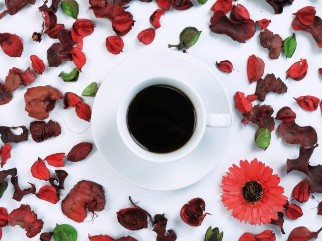 Чашка кофе на белой поверхности с сухими лепестками 