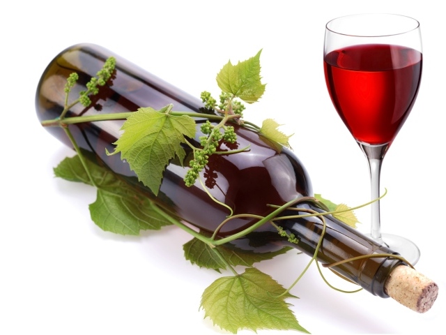 Бутылка вина в виноградной лозе с бокалом на белом фоне