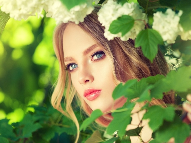 Красивая голубоглазая девушка в белых цветах 