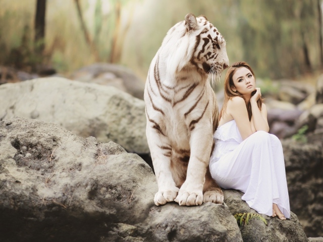 Красивая девушка в белом платье с белым тигром