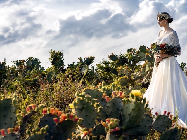 Красивая девушка в белом свадебном платье на поле с кактусами