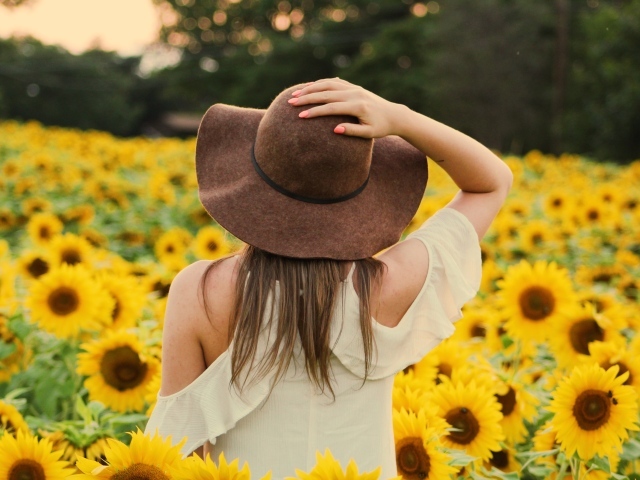 Молодая девушка в большой шляпе на поле с подсолнухами 