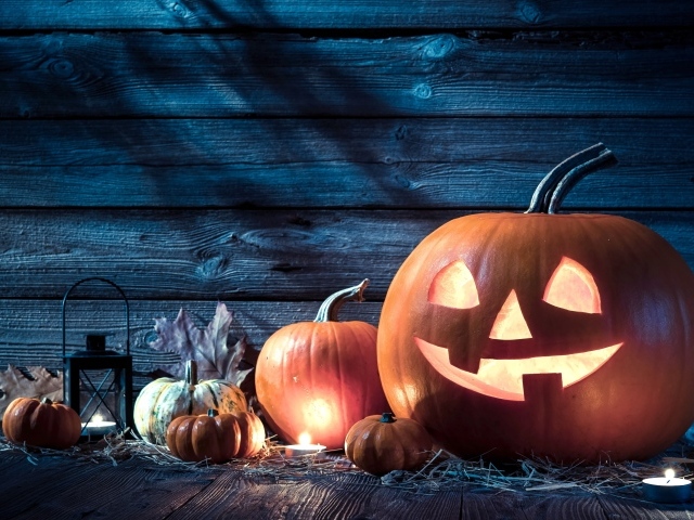 Тыквы на праздник Хэллоуин, 31 октября
