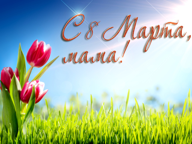 Красивые тюльпаны, на 8 марта поздравление для мамы
